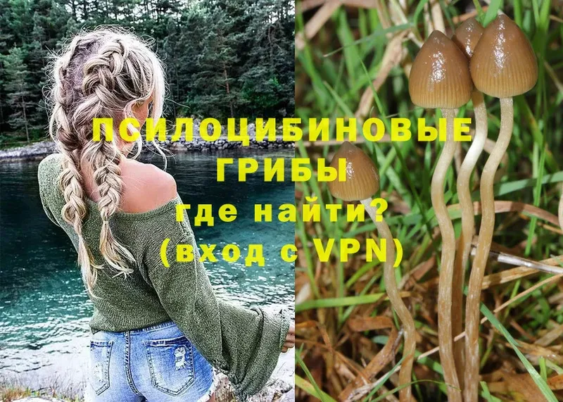 Галлюциногенные грибы Cubensis  Мураши 